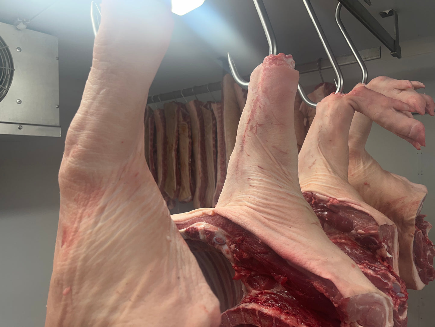 Pig in A Day Course