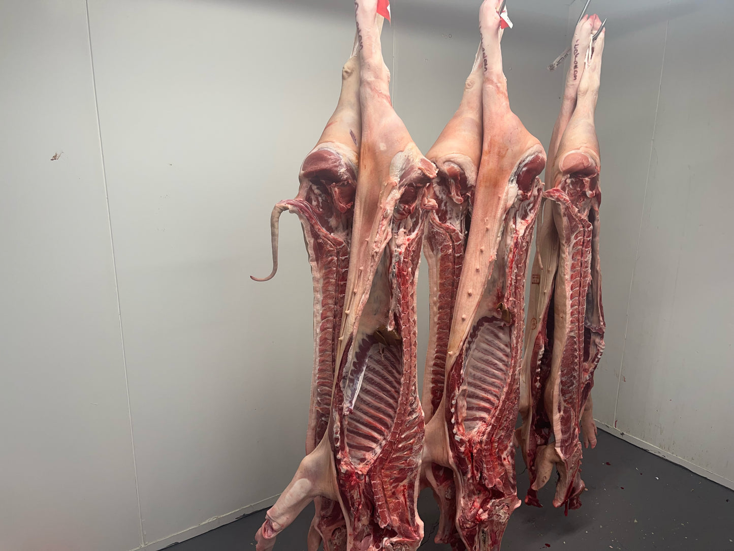 Pig in A Day Course