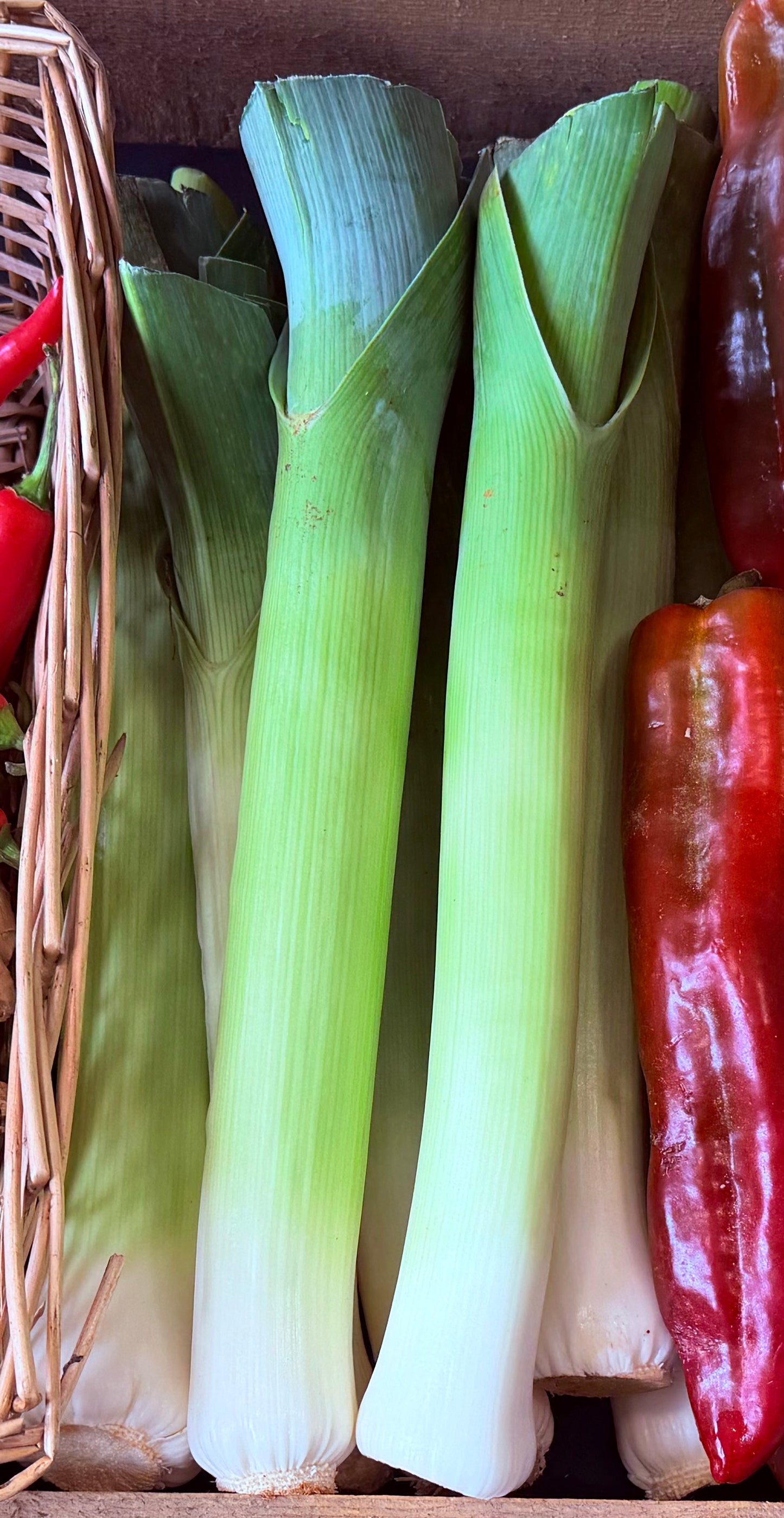 Organic Leeks