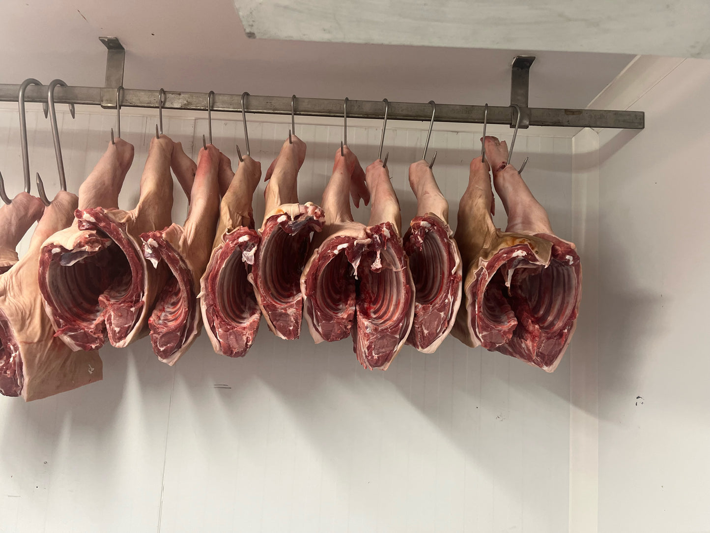 Pig in A Day Course
