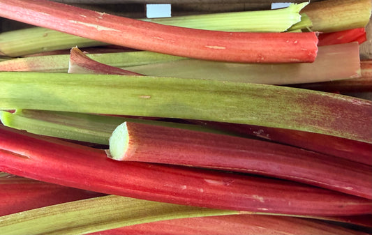 Organic Rhubarb