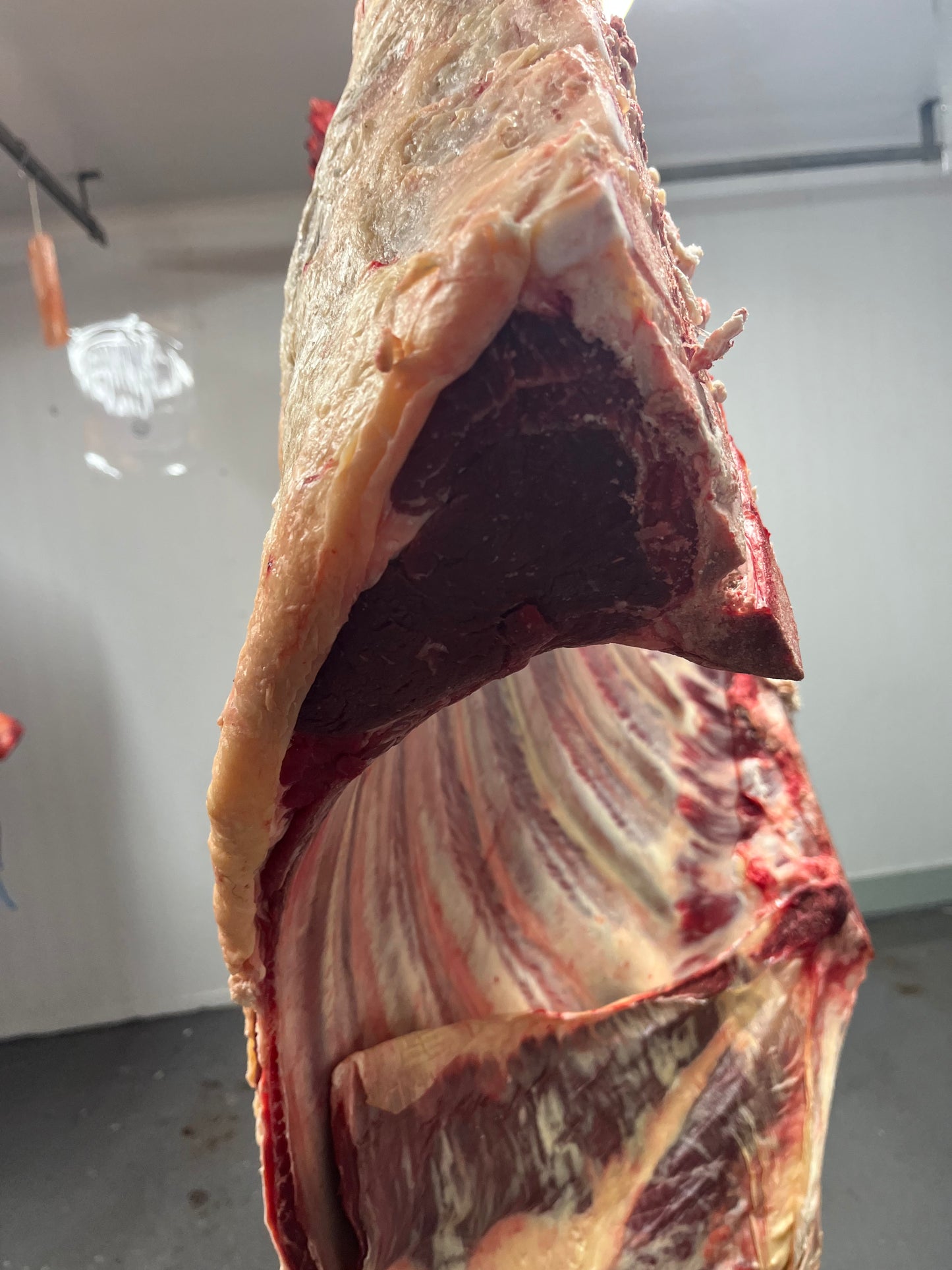 Organic Sirloin Steak