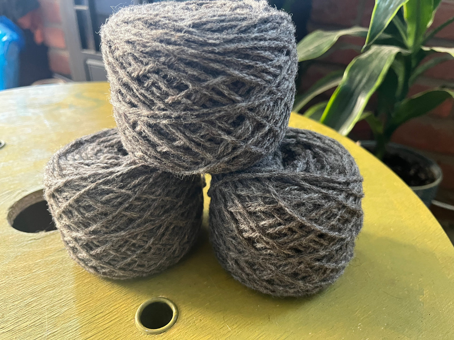 100% Pure Jacob Wool