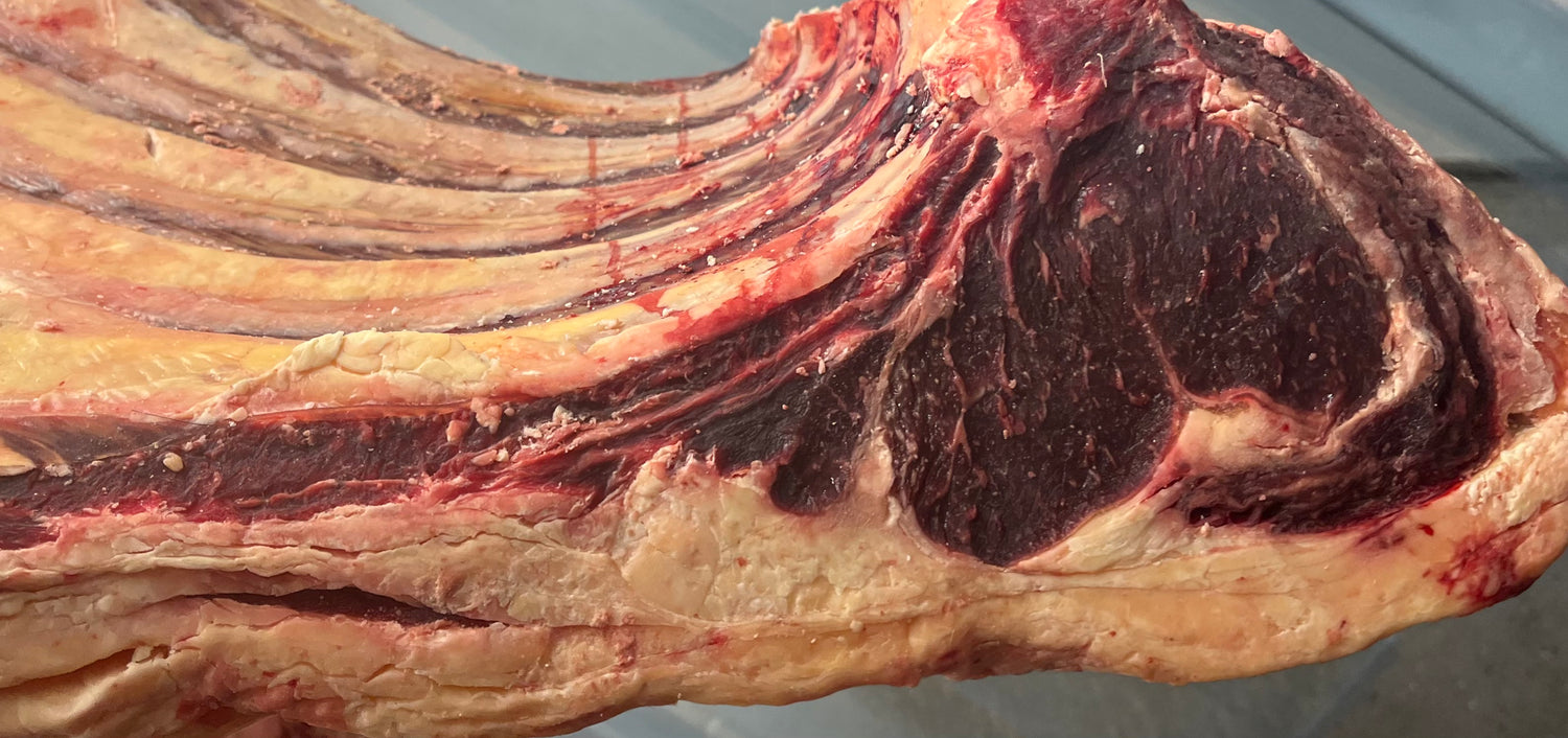 Old Cow Beef