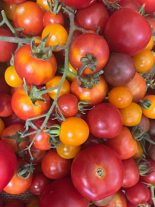 Organic Cherry Tomatoes