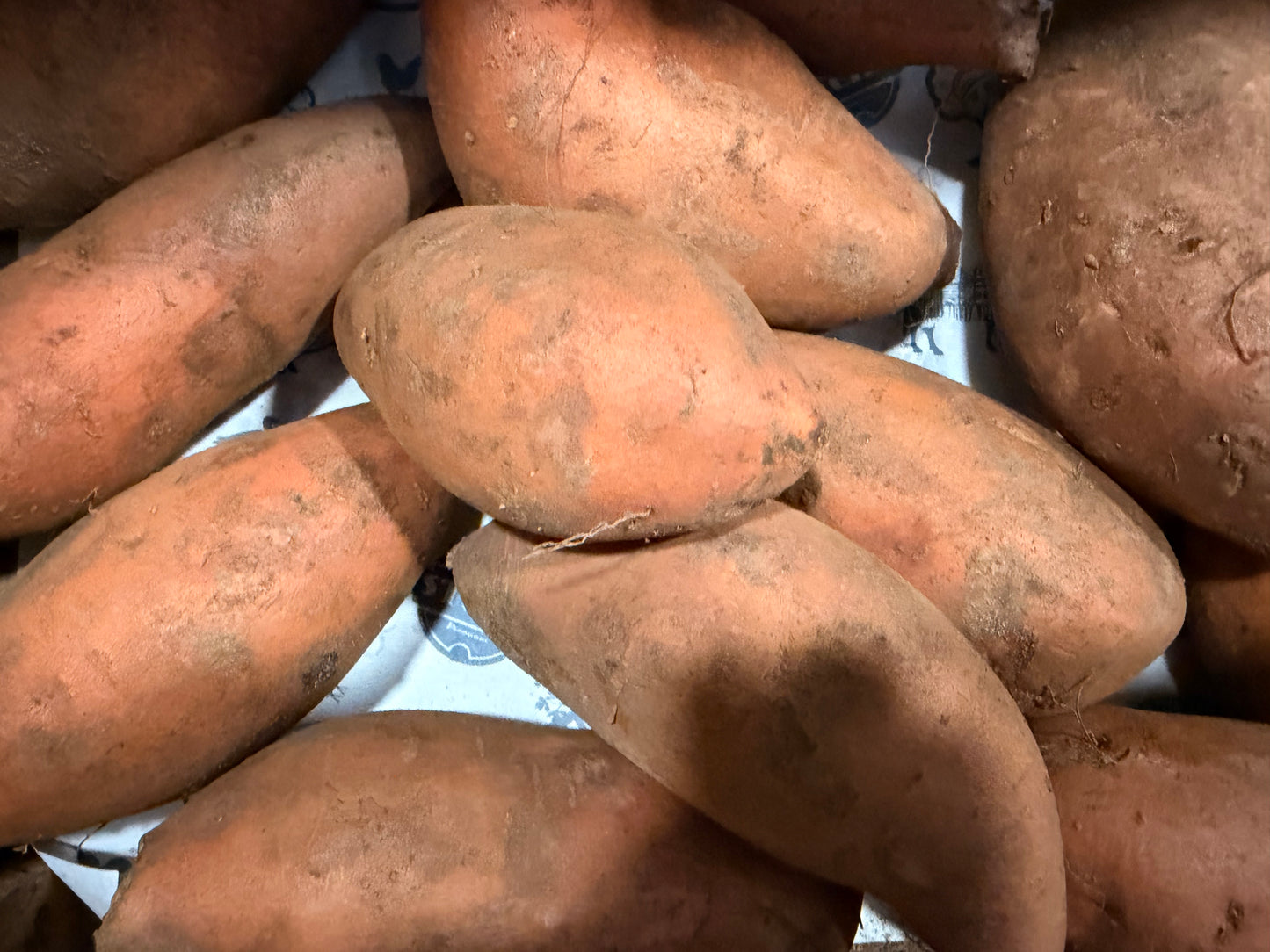 Organic Sweet Potatoes