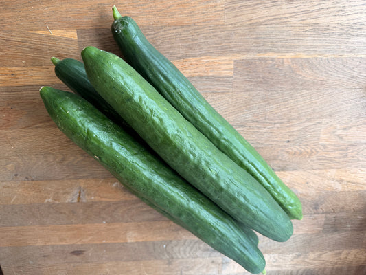 Organic Cucumber