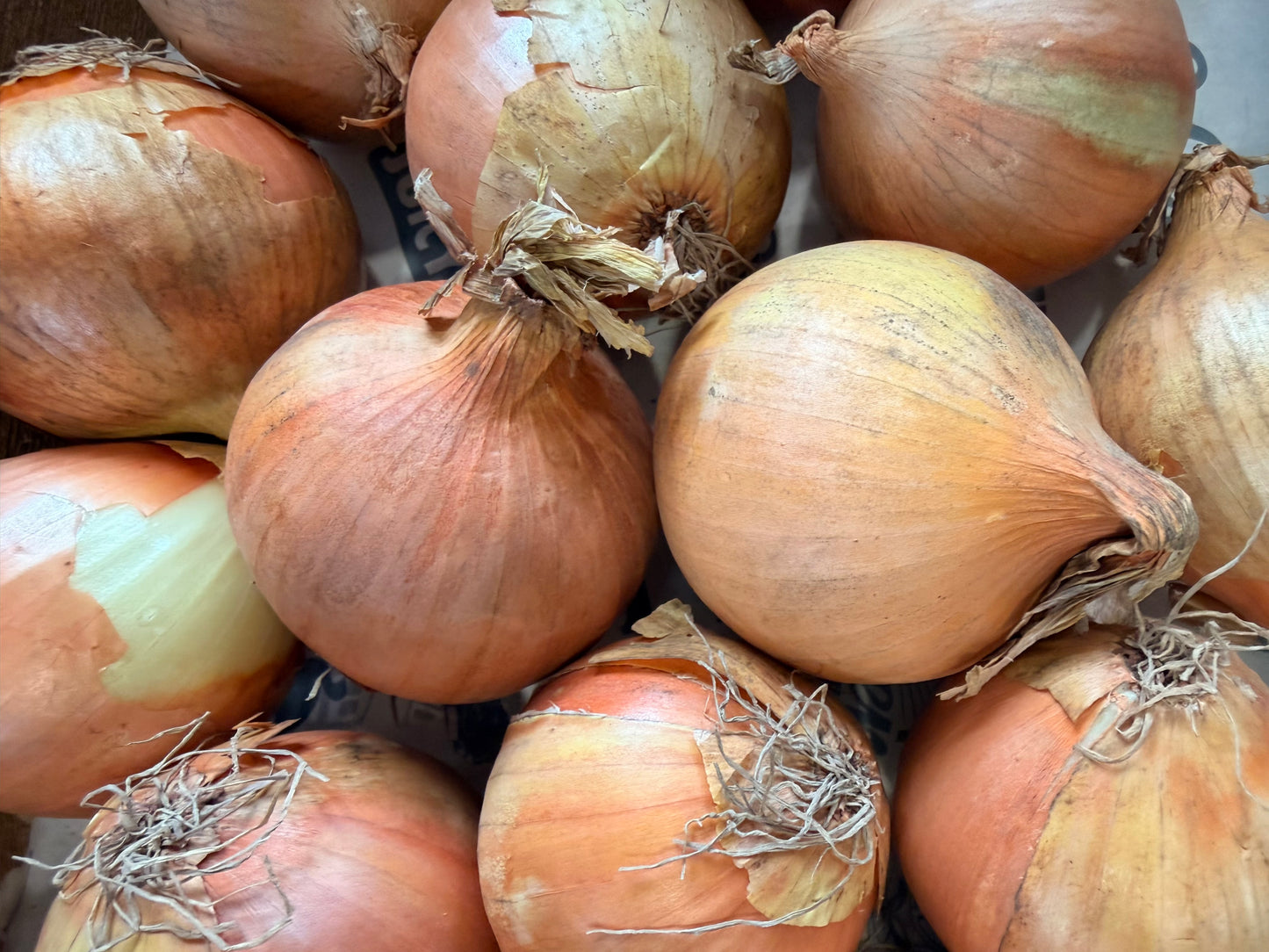 Organic Yellow Onions