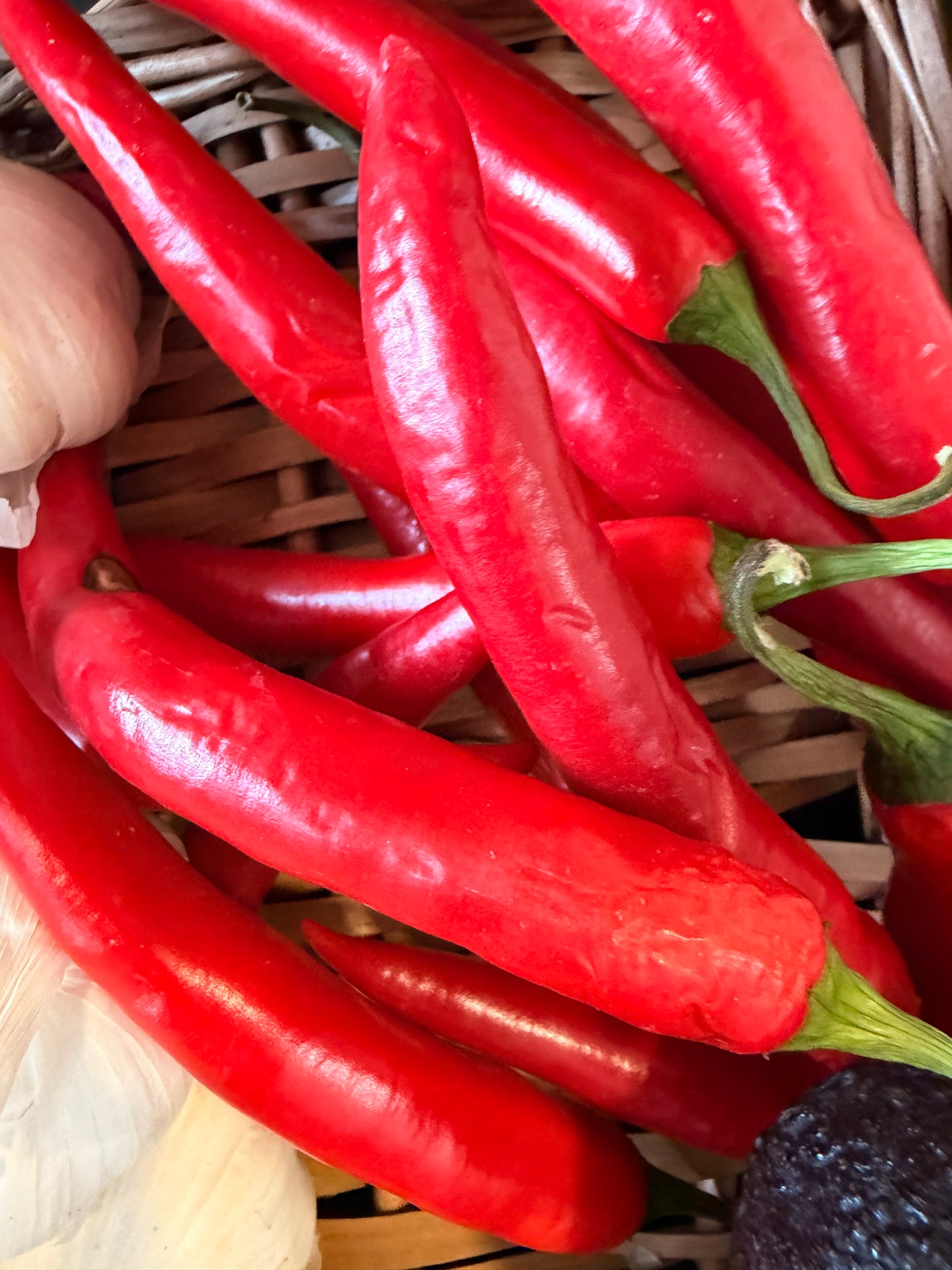 Organic Chillis